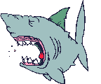 Image: animaux-requin-00003.gif