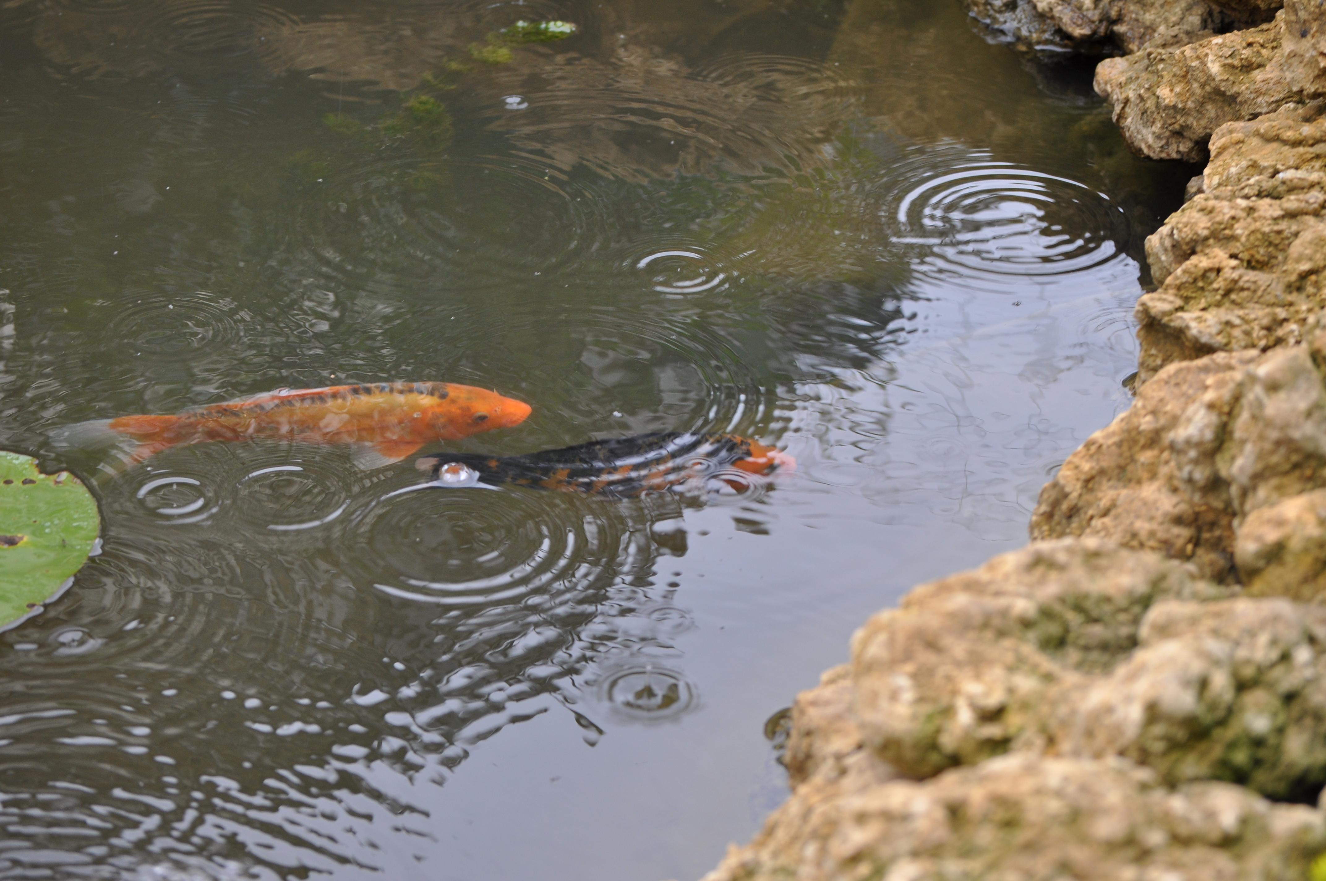 Image: dsc_15322.jpg