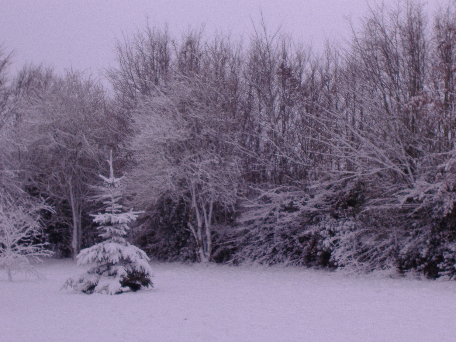 Image: meteo.jpg