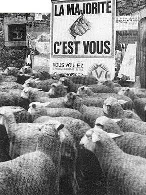 Image: moutons-panurge.jpg