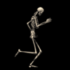 Image: skeleton-walking-funny-animated_20091014_1075667500.gif
